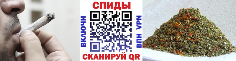 БУТИРАТ буратино Курск