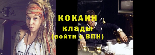 гашик Костерёво