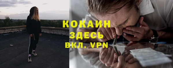 гашик Костерёво