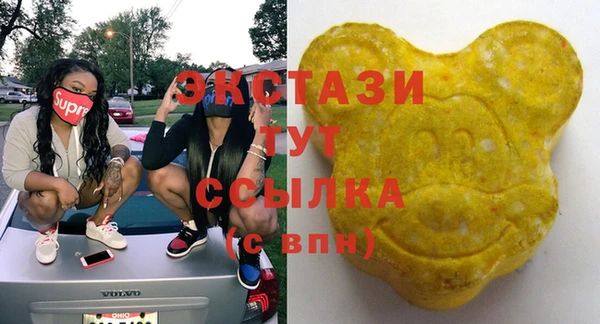 гашик Костерёво