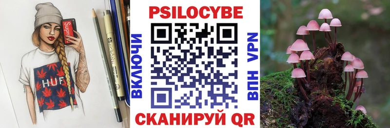 Псилоцибиновые грибы Psilocybine cubensis  Курск 